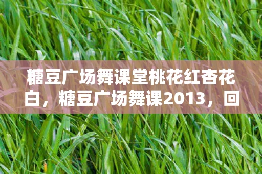 糖豆广场舞课堂桃花红杏花白，糖豆广场舞课2013，回忆与传承的交响曲