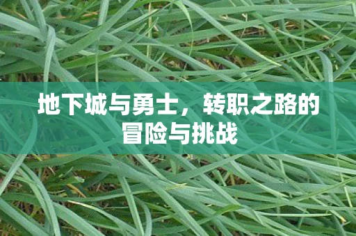 地下城与勇士，转职之路的冒险与挑战