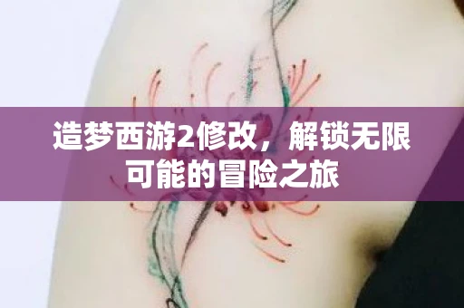造梦西游2修改，解锁无限可能的冒险之旅