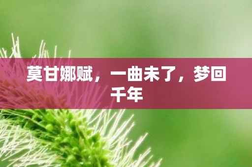 莫甘娜赋，一曲未了，梦回千年