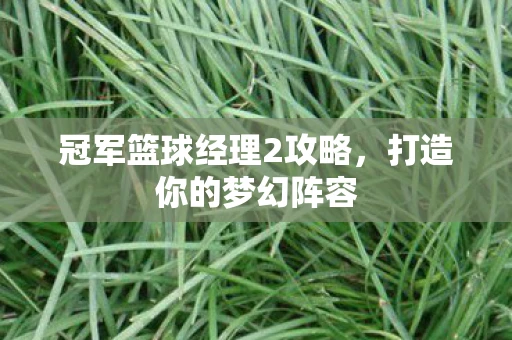 冠军篮球经理2攻略，打造你的梦幻阵容