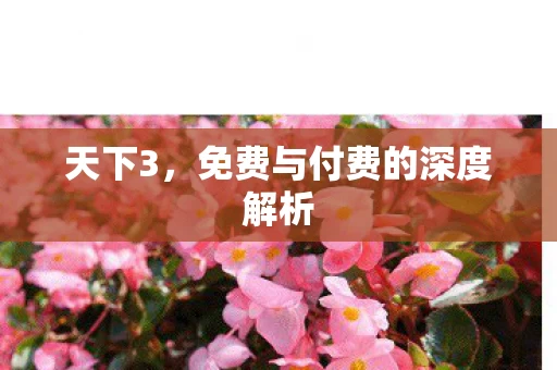 免费与付费的深度解析图片