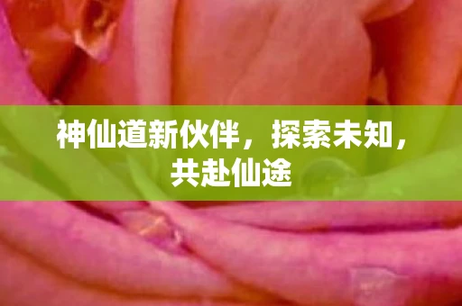 神仙道新伙伴，探索未知，共赴仙途
