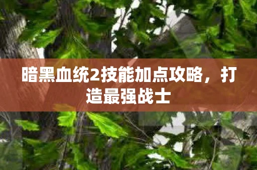 暗黑血统2技能加点攻略，打造最强战士