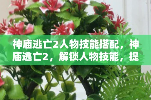 神庙逃亡2人物技能搭配，神庙逃亡2，解锁人物技能，提升游戏乐趣