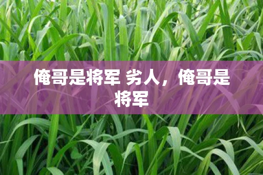 俺哥是将军 劣人，俺哥是将军