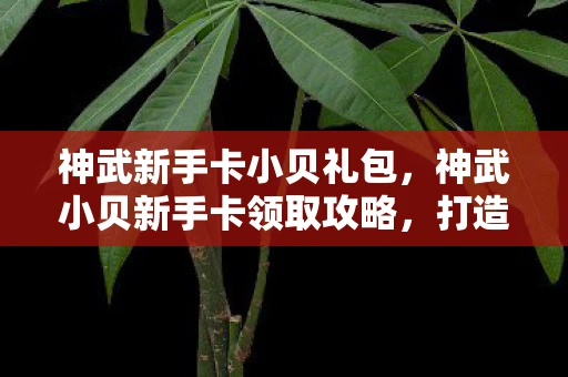 神武新手卡小贝礼包，神武小贝新手卡领取攻略，打造你的游戏新起点