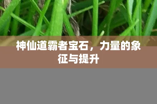 力量的象征与提升图片