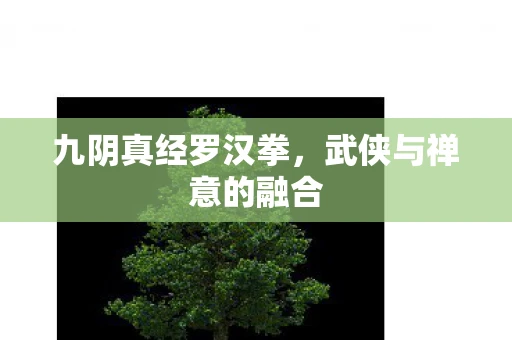 九阴真经罗汉拳，武侠与禅意的融合