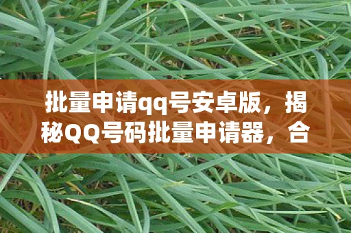 批量申请qq号安卓版，揭秘QQ号码批量申请器，合法与非法边缘的灰色地带