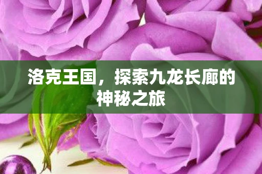 洛克王国，探索九龙长廊的神秘之旅