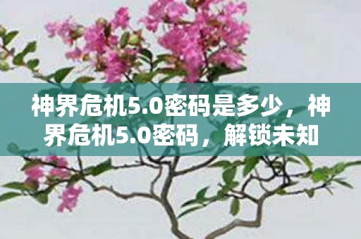 神界危机5.0密码是多少，神界危机5.0密码，解锁未知世界的神秘钥匙
