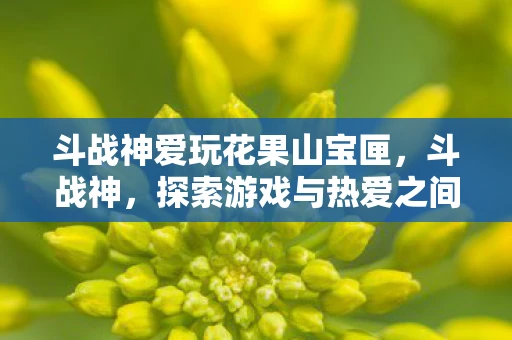 斗战神爱玩花果山宝匣，斗战神，探索游戏与热爱之间的无限可能