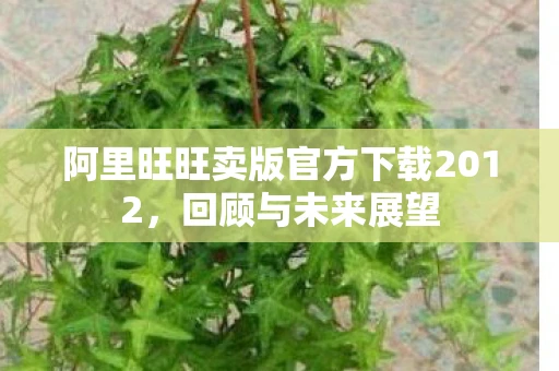 阿里旺旺卖版官方下载2012，回顾与未来展望