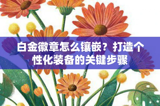 白金徽章怎么镶嵌？打造个性化装备的关键步骤