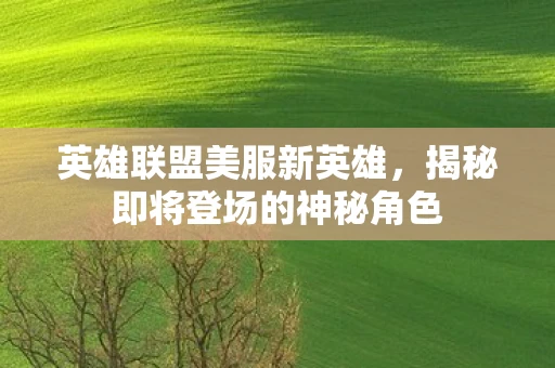 英雄联盟美服新英雄，揭秘即将登场的神秘角色