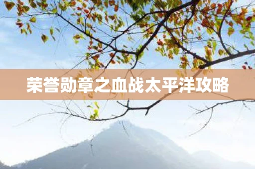 荣誉勋章之血战太平洋攻略