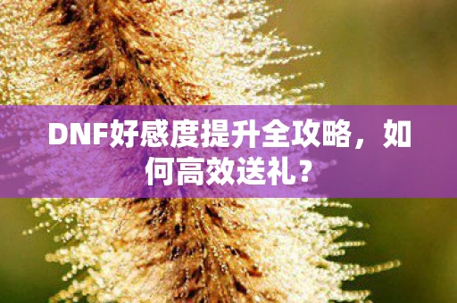 DNF好感度提升全攻略，如何高效送礼？