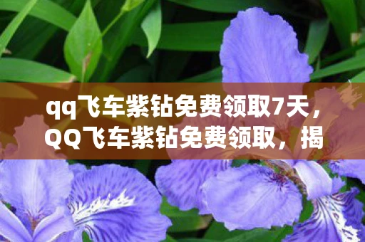 qq飞车紫钻免费领取7天，QQ飞车紫钻免费领取，揭秘背后的真相与注意事项