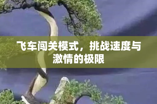 飞车闯关模式，挑战速度与激情的极限