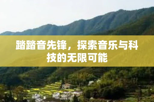踏踏音先锋，探索音乐与科技的无限可能