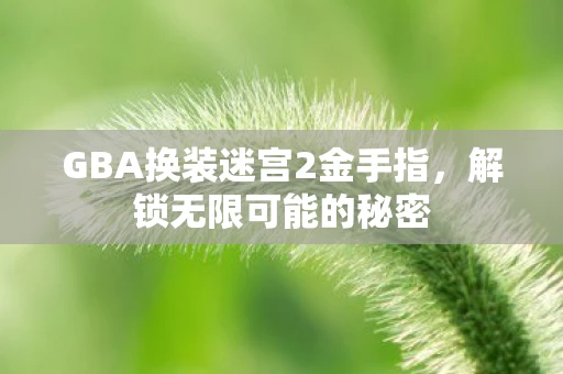 GBA换装迷宫2金手指，解锁无限可能的秘密