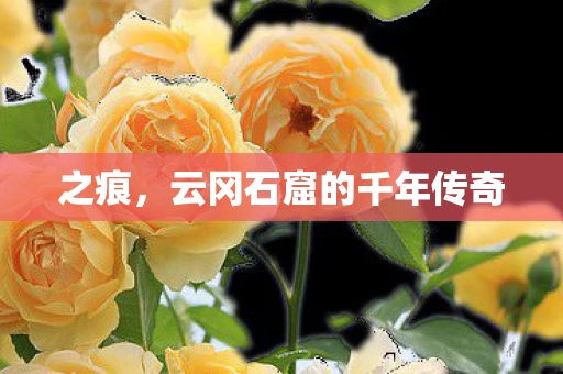 之痕，云冈石窟的千年传奇