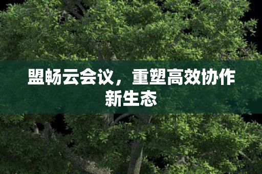 盟畅云会议，重塑高效协作新生态