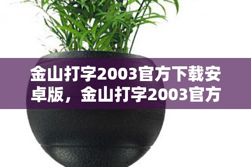 金山打字2003官方下载安卓版，金山打字2003官方免费下载，提升打字速度，轻松应对职场挑战