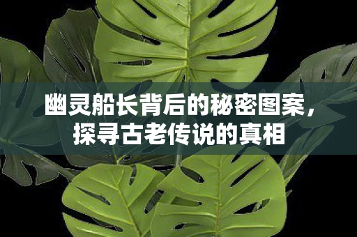 幽灵船长背后的秘密图案，探寻古老传说的真相
