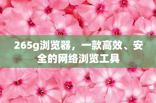 265g浏览器，一款高效、安全的网络浏览工具