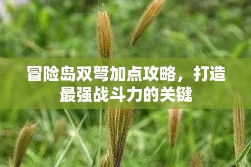冒险岛双弩加点攻略，打造最强战斗力的关键