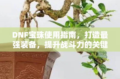 DNF宝珠使用指南，打造最强装备，提升战斗力的关键步骤