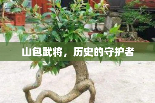 山包武将，历史的守护者