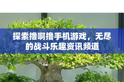 无尽的战斗乐趣资讯频道图片