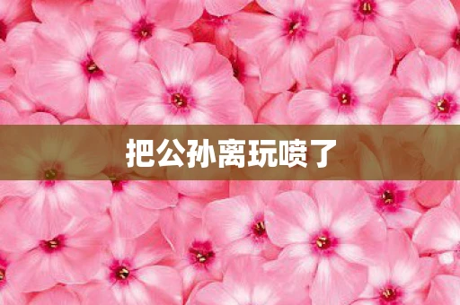 把公孙离玩喷了