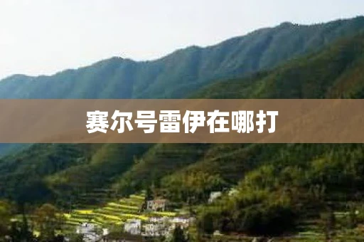 赛尔号雷伊在哪打