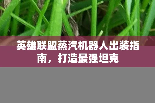 英雄联盟蒸汽机器人出装指南，打造最强坦克