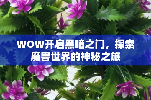 WOW开启黑暗之门，探索魔兽世界的神秘之旅