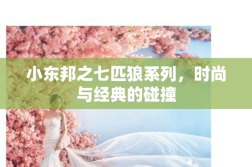 小东邦之七匹狼系列，时尚与经典的碰撞