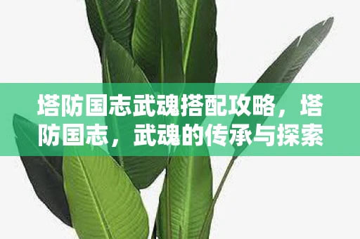 塔防国志武魂搭配攻略，塔防国志，武魂的传承与探索