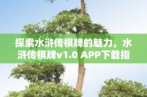 探索水浒传棋牌的魅力图片