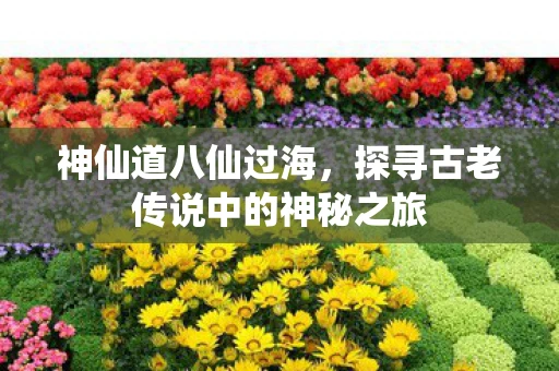 神仙道八仙过海，探寻古老传说中的神秘之旅