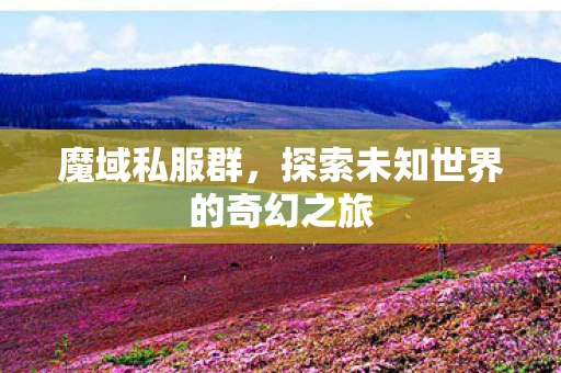 魔域私服群，探索未知世界的奇幻之旅