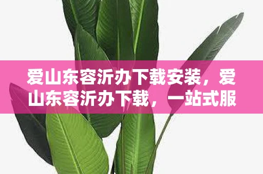 爱山东容沂办下载安装，爱山东容沂办下载，一站式服务，让政务更便捷