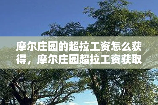 摩尔庄园的超拉工资怎么获得，摩尔庄园超拉工资获取攻略