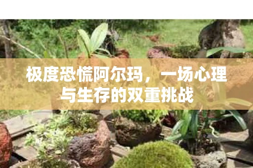 极度恐慌阿尔玛，一场心理与生存的双重挑战