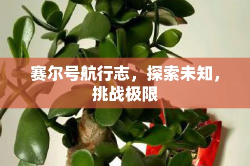 赛尔号航行志，探索未知，挑战极限