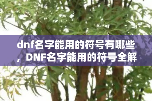 dnf名字能用的符号有哪些，DNF名字能用的符号全解析