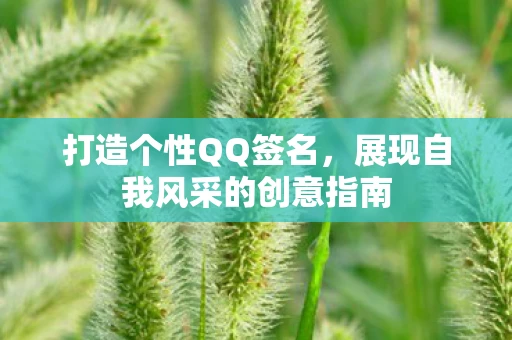 打造个性QQ签名，展现自我风采的创意指南